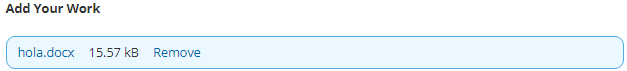 A file named "hola.docx" with a size of 15.57 KB is listed under "Add Your Work" next to a blue and white button.
