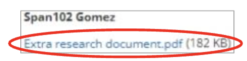 Image of link displaying a student's attached pdf file.