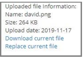 Uploaded file information panel showing file name, size, upload date, and options to download or replace the current file.