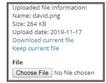 Uploaded file information panel showing options to download or keep the current file, with a new Choose File button below.